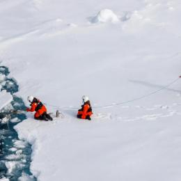 Algas do gelo do Ártico estão fortemente contaminadas com microplásticos
