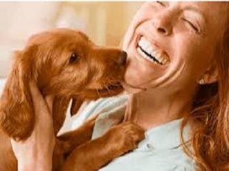  Cães são capazes de identificar emoções humanas!