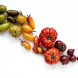As redes sociais podem ser usadas para aumentar consumo de frutas e vegetais entre jovens