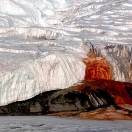 Blood Falls: Cachoeira carmesim da Antártica forjada a partir de um coração escondido
