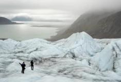 Recuo de geleiras: fungos aumentam o armazenamento de carbono em solos jovens do Ártico