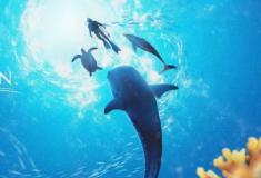 Endless Ocean: Luminous é uma experiência subaquática relaxante