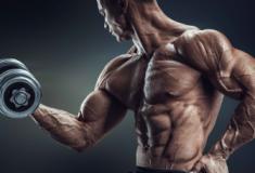 5 rotinas de treino de bíceps eficazes: do iniciante ao avançado