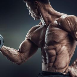 5 rotinas de treino de bíceps eficazes: do iniciante ao avançado