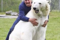 O Homem que Criou um Laço Impossível com um Urso-Polar