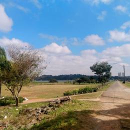 Parque da Barragem de Guarapiranga: natureza e história na zona sul