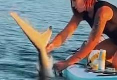 Coragem Sobre as Ondas: A Remadora que Salvou um Tubarão Preso no Mar