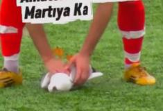 Gaivota é atingida por bolada durante jogo de futebol na Turquia e reanimada por capitão