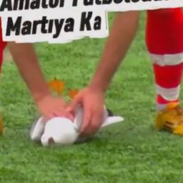 Gaivota é atingida por bolada durante jogo de futebol na Turquia e reanimada por capitão