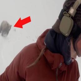 Snowboarder grava sem querer um urso a perseguindo na montanha 