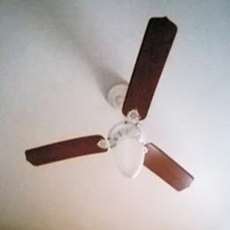 O Ventilador