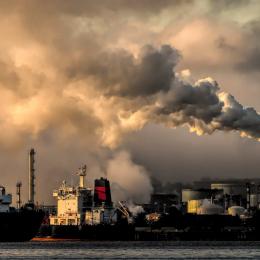 Sequestro de carbono funciona ou é boa demais para ser verdade