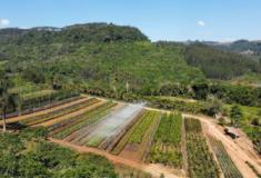 Agrofloresta Pode Ser a Chance de Conter o Aquecimento Global
