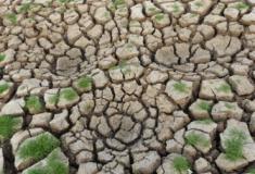 O efeito do El Niño sobre a agricultura e as regiões do Brasil que podem sofrer impactos