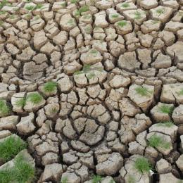 O efeito do El Niño sobre a agricultura e as regiões do Brasil que podem sofrer impactos