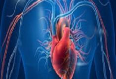 Infarto envolve mais órgãos do que o coração