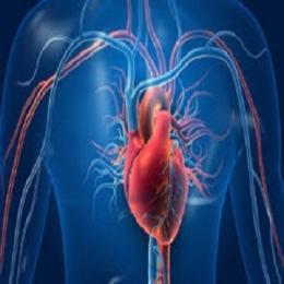 Infarto envolve mais órgãos do que o coração