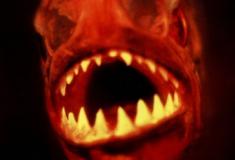 Piranha (1995) - O filme que você nem sabia que existia