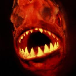 Piranha (1995) - O filme que você nem sabia que existia