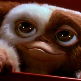 Recordando sequências de clássicos de terror: Gremlins 2: A Nova Geração