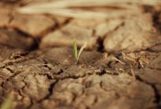 25 bilhões para o plano clima e você vai pagar essa conta 