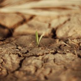 25 bilhões para o plano clima e você vai pagar essa conta 