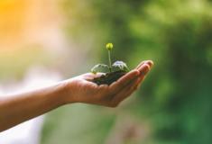Projetos de educação ambiental que vão fazer sucesso na sua escola