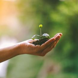 Projetos de educação ambiental que vão fazer sucesso na sua escola