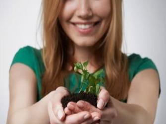 Conheça 3 plantas que promovem bem-estar físico e mental