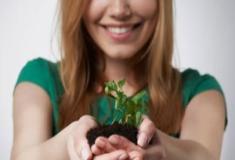 Conheça 3 plantas que promovem bem-estar físico e mental