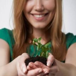 Conheça 3 plantas que promovem bem-estar físico e mental