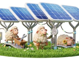 Gigante mundial usa ovelhas para cuidar de usina solar