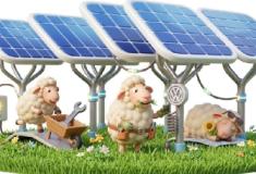 Gigante mundial usa ovelhas para cuidar de usina solar