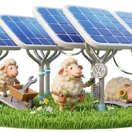 Gigante mundial usa ovelhas para cuidar de usina solar